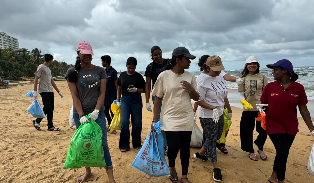 Empowering Communities through Sustainability Projects